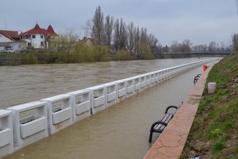 Peste 600 de hectare de teren inundate după ploile din weekend (FOTO)