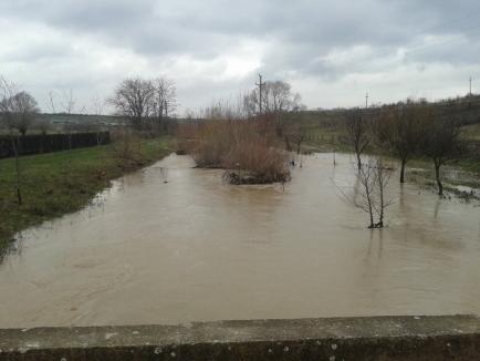 Peste 600 de hectare de teren inundate după ploile din weekend (FOTO)