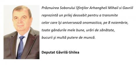 Deputatul Ghilea: Gânduri bune și urări de sănătate, de Sfinții Mihail și Gavriil