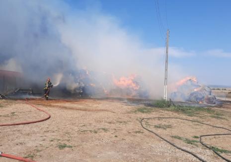 Incendiu la o fermă de 500 de măgari și măgărițe din Bihor (FOTO/VIDEO)