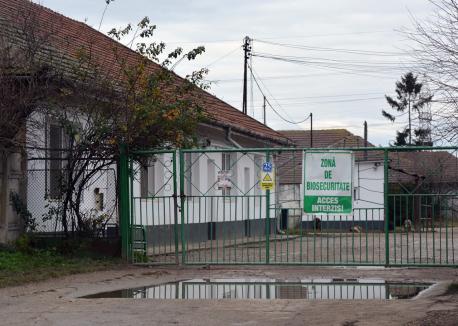 Fermă fără porci: Nutripork încă nu a explicat cum va opri duhoarea din Oradea