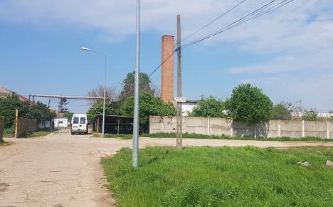 Ferma Nutripork, sursa mirosurilor urâte din Oradea și Sântandrei, s-a închis definitiv (FOTO)