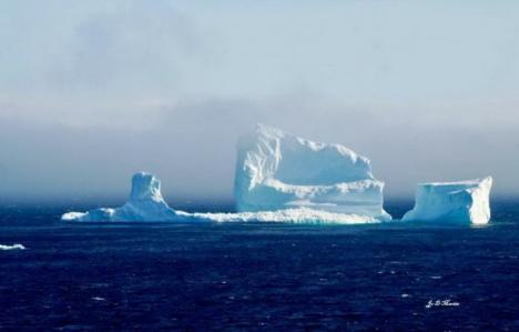Un aisberg uriaş a transformat un orăşel din Canada în magnet pentru turişti (FOTO)