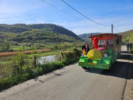 La plăcinte, înainte! Bihorenii au degustat bucate tradiționale la Festivalul Plăcintelor de la Briheni (FOTO)