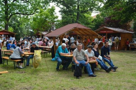 Răsfăţ cu vinuri premium, delicii în aromă de fum, concerte şi oameni faini: A fost un nou Festival Gastro şi Vin Bakator la Diosig (FOTO)