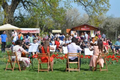 Festivalul Primăverii de la Santăul Mic, un succes: Lume multă, atmosferă colorată, muzică de calitate (FOTO / VIDEO)