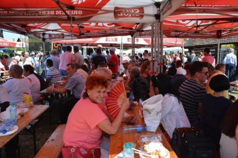 Sarmale pentru toată lumea! Aproape 20.000 de sarmale, împărţite la festivalul românesc din Salonta (FOTO)