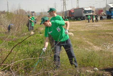 Cu mâna pe făraş! Campania de curăţenie de primăvară se încheie joi (FOTO)