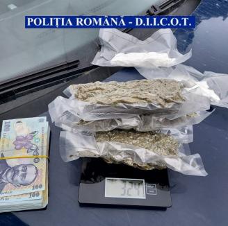 Tânăr de 24 de ani, prins în flagrant cu droguri în Bihor: încerca să vândă cannabis și amfetamină în valoare de peste 11.000 de lei (FOTO)