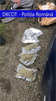 Tânăr de 24 de ani, prins în flagrant cu droguri în Bihor: încerca să vândă cannabis și amfetamină în valoare de peste 11.000 de lei (FOTO)