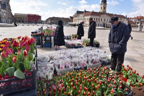 Flori albastre şi galbene, în stil origami, dăruite de liceeni din Oradea, de 8 Martie: 'Pentru femeile din Ucraina, care nu pot să sărbătorească' (FOTO/VIDEO)
