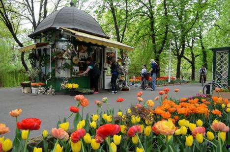 Cadou pentru orădeni: Florarii au dat culoare Parcului Libertăţii (FOTO)