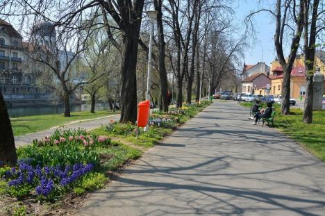 Florarul Marius părăseşte Oradea! Buticul cu flori din Parcul Libertăţii a fost deja închis (FOTO)