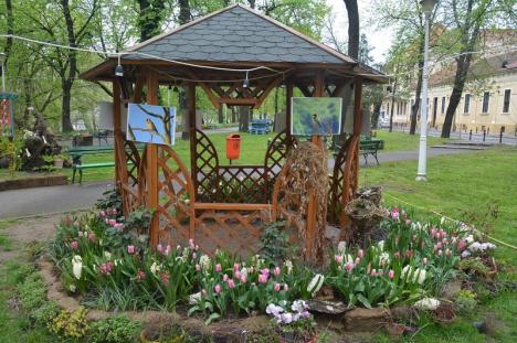 Florarul Marius părăseşte Oradea! Buticul cu flori din Parcul Libertăţii a fost deja închis (FOTO)