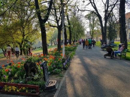 Grădină spectaculoasă, în mijlocul oraşului. Parcul Libertăţii e plin de flori! (FOTO)