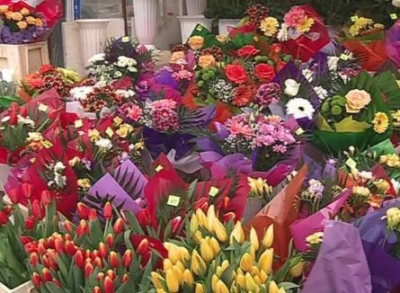 ADP Oradea închiriază module în Tronsonul flori din Piaţa Rogerius