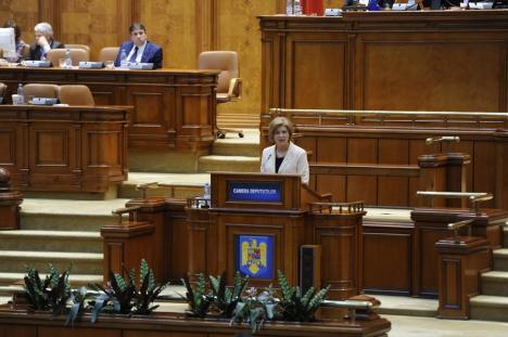 Deputatul PNL Bihor Florica Cherecheş: Raport de activitate pe 2019, anul relansării României Normale