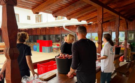 Primarul Oradiei, Florin Birta, a mers să facă voluntariat la Mănăstirea Izbuc. A dus cu el 50 de angajați și colaboratori ai Primăriei (FOTO)