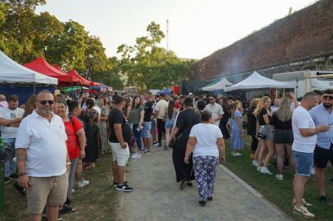 Sărbătoarea romilor, în Oradea: Maneliștii Florin Salam și Tzancă Uraganu au cântat în parcul Cetății. Au fost aduși cu mașini de lux, una condusă de Călin Raita (FOTO/VIDEO)