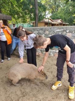 FOTO: Ziua părinților adoptivi la Zoo Oradea