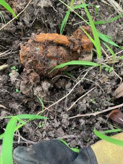Grenadă neexplodată, descoperită în Oradea de un pescar