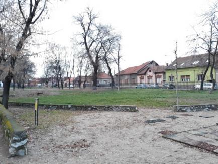 Au minţit: Defrişările din Parcul Bălcescu nu au avizul APM Bihor! Garda de Mediu a sistat orice tăiere (FOTO)