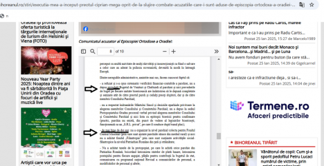 Preotul Ciprian Mega susține că „episcopul Sofronie este un om bolnav, fără discernământ' și cere SRI să spună public dacă este „urmărit informativ” (AUDIO)