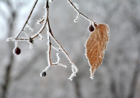 Vremea până pe 26 noiembrie: Zilele vor fi din ce în ce mai reci
