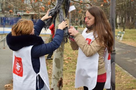 'Cu mult drag, pentru cine are nevoie…' Voluntarii Caritas Catolica au lăsat fulare şi mănuşi pe copacii din Parcul Brătianu (FOTO)