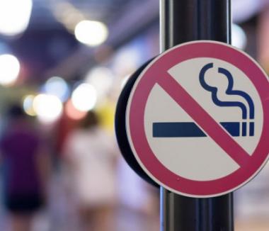 Bodog le cere deputaţilor să nu mai blocheze legea ce interzice fumatul în spaţii publice