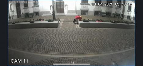Atac la flori: Un bărbat, filmat în timp ce fura din grădina Episcopiei Greco-Catolice a Oradiei  (FOTO / VIDEO)