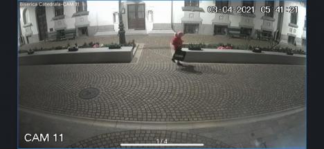 Atac la flori: Un bărbat, filmat în timp ce fura din grădina Episcopiei Greco-Catolice a Oradiei  (FOTO / VIDEO)