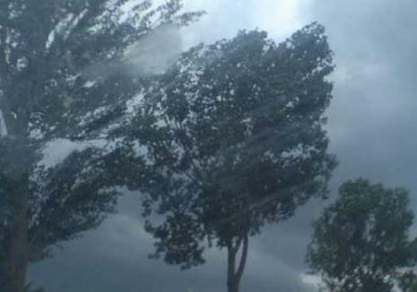 O nouă alertă imediată de furtuni în Bihor: E COD PORTOCALIU pentru o parte din județ