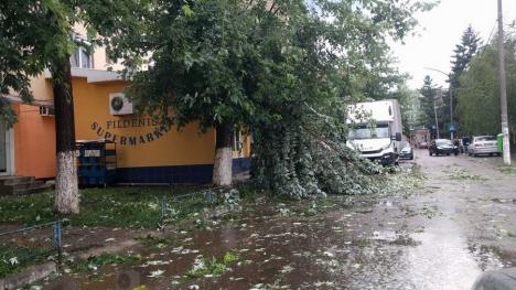Furtună în Aleşd: Mai multe persoane au avut nevoie de îngrijiri medicale, după ce au fost lovite de grindină (FOTO)