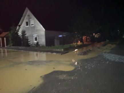 Drumuri blocate în Bihor, din cauza furtunilor, acoperiș lovit de trăsnet. Judeţul, din nou sub cod galben de vreme rea (FOTO / VIDEO)