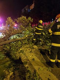 20 de intervenţii ale pompierilor în doar 3 ore în Bihor: Vântul puternic a doborât copaci, cărămizi, un semafor şi fire de electricitate (FOTO)