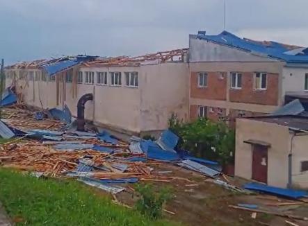 Furtuna din Oradea a provocat pagube de 1 milion de euro numai municipalității. Primarul Birta vrea o nouă strategie 'verde'