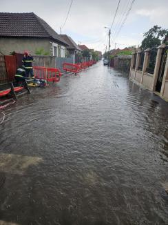 Pagubele furtunii: În Oradea un copac a căzut peste patru maşini şi mai multe străzi au fost inundate (FOTO/VIDEO)