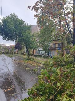 Vijelie peste Oradea: copaci puși la pământ, acoperișuri luate de vânt. Au fost trimise mesaje Ro-Alert (FOTO/VIDEO)