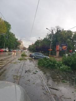 Vijelie peste Oradea: copaci puși la pământ, acoperișuri luate de vânt. Au fost trimise mesaje Ro-Alert (FOTO/VIDEO)