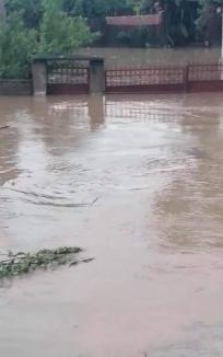 Cod ROȘU de furtuni în Bihor! Vezi zonele afectate! (FOTO/ VIDEO)