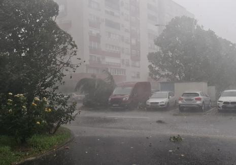 Avertizare meteo imediată. Cod galben și portocaliu de furtuni în Bihor, vezi localitățile afectate!