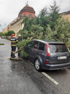 Un copac a căzut peste o maşină aflată în trafic, în Oradea (FOTO / VIDEO)