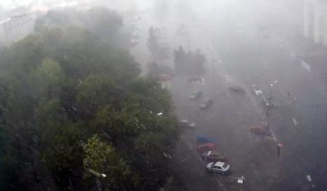 Furtună și vânt puternic în Oradea: copaci căzuți pe mai multe străzi, o tablă de acoperiș s-a desprins în Piața Unirii (FOTO / VIDEO)