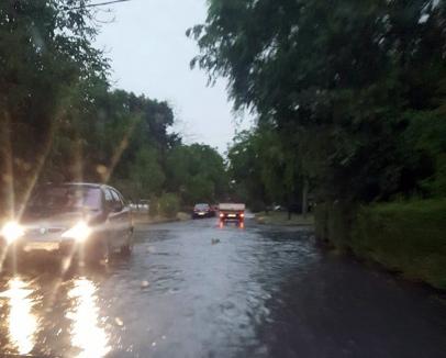Furtună peste Oradea: Ploaia şi vijelia au inundat străzi şi au doborât copaci cu nemiluita (FOTO/VIDEO)