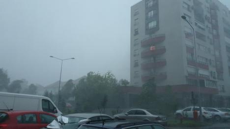 Efectele furtunii: Mai mulţi copaci doborâţi în Oradea şi în Bihor, două persoane evacuate. Pompierii, în alertă (FOTO / VIDEO)