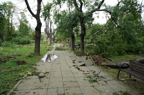 Imaginile dezastrului în Oradea: vezi ce a lăsat în urmă furtuna de marți! (FOTO/VIDEO)