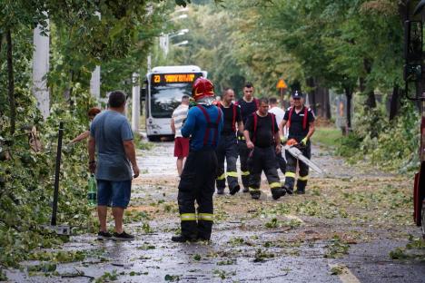 Oradea devastată de furtună: Trafic blocat în aproape tot orașul, copaci scoși din rădăcini, acoperișuri luate de vânt (FOTO/VIDEO)