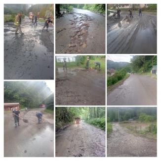 Urmările codului portocaliu în Bihor: Aluviuni pe șosele și copaci căzuți (FOTO / VIDEO)