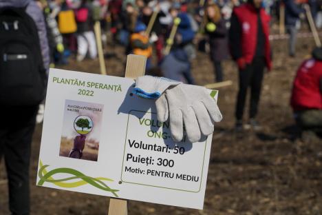 (FOTO/VIDEO) 'Un om, un pom, o ţară'. Mega-acţiune de plantare cu 1.800 de voluntari din Oradea, Bihor şi... Peru. După muncă, gulyás şi bere